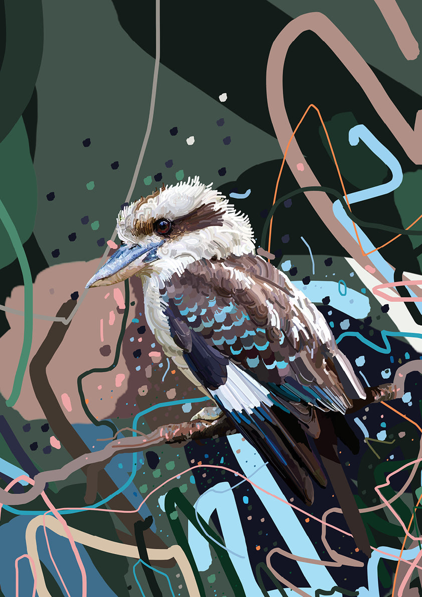 King Kookaburra