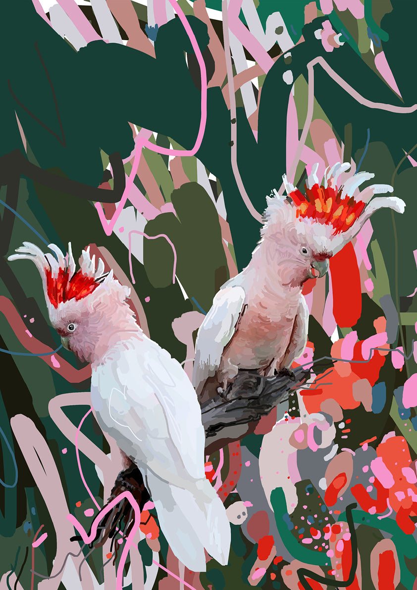 Two Cockatoos